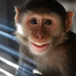 Cheeky Grin