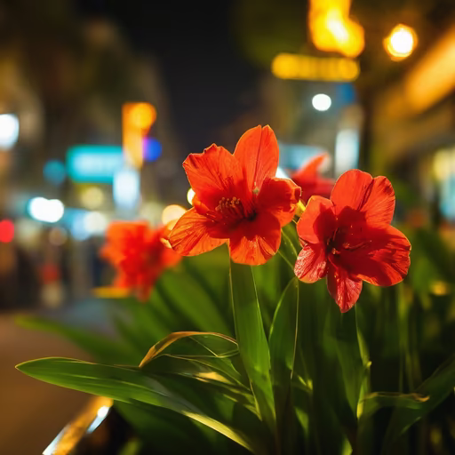 City Blooms