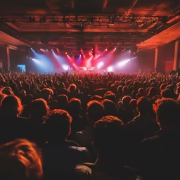 Concert Vibes Concert Vibes