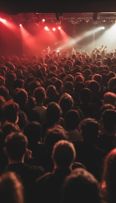 Concert Crowd Concert Crowd