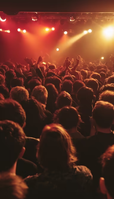 Concert Vibes Concert Vibes
