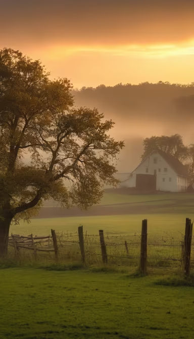 Rural Serenity
