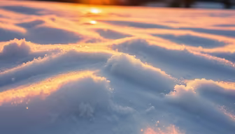 Winter's Glow Winter's Glow