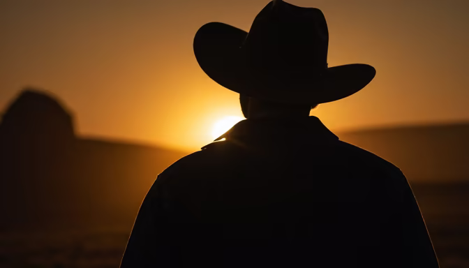 Sunset Silhouette
