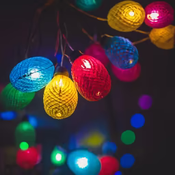 Holiday Lights Holiday Lights