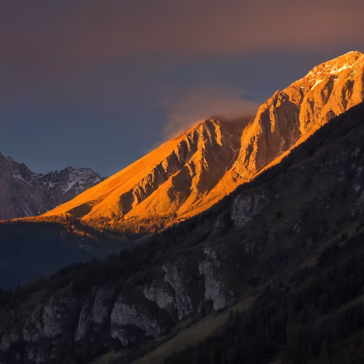 Mountain Majesty