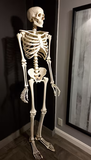 Bones in the corner