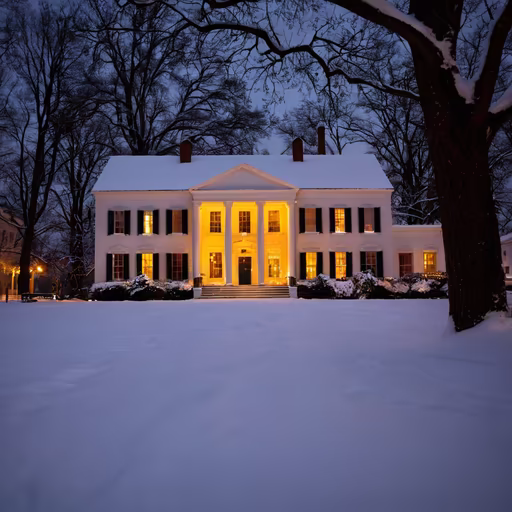 Winter Estate
