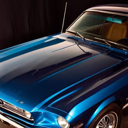 Classic Beauty