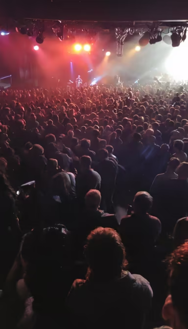 Concert Crowd Concert Crowd