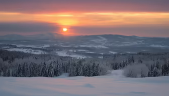 Winter's Embrace Winter's Embrace