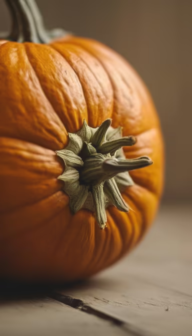 Autumn's Bounty