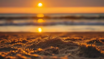 Golden Hour at the Beach Golden Hour at the Beach