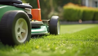 Freshly Cut Lawn Freshly Cut Lawn