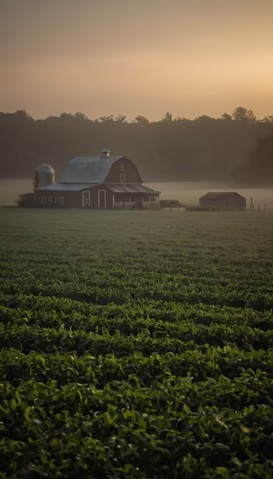 Rural Serenity Rural Serenity