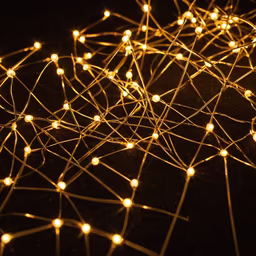String Lights String Lights
