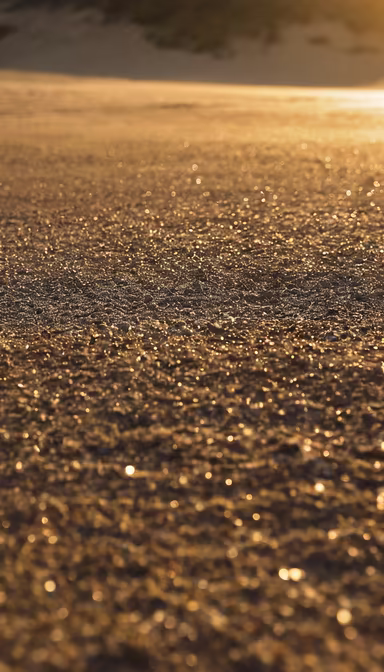 Golden Hour Beach