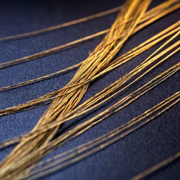 Golden Strands Golden Strands