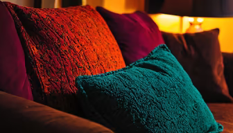 Cozy Comfort Cozy Comfort