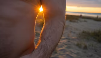 Golden Hour Glow Golden Hour Glow