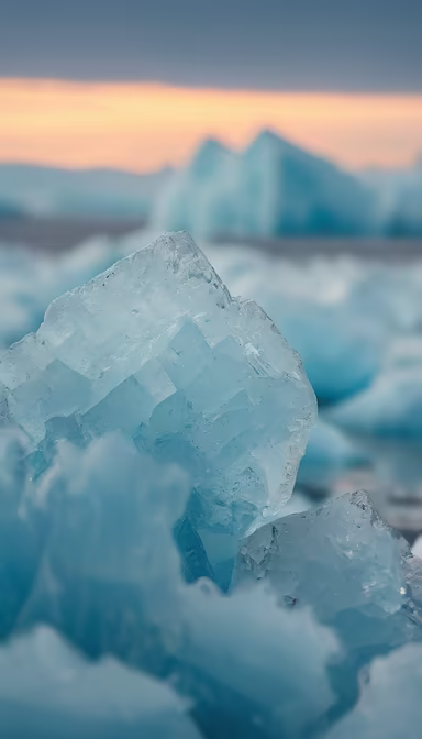 Arctic Gems Arctic Gems