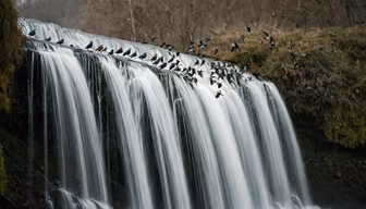 Waterfall Haven Waterfall Haven