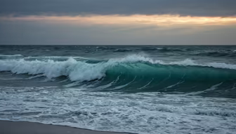 Ocean's Embrace