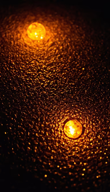 Golden Glow Golden Glow