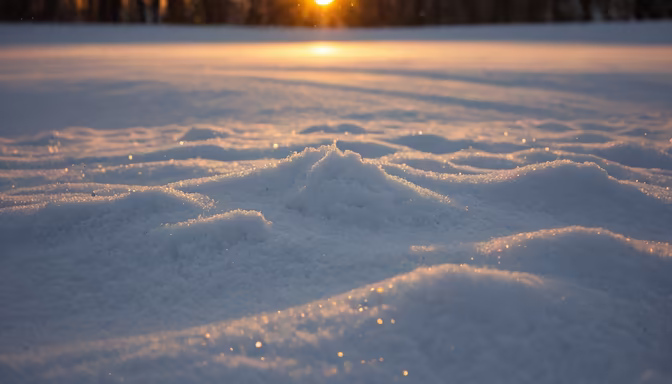 Winter's Golden Touch
