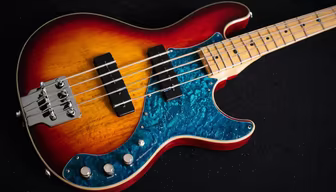 Bass Guitar Beauty Bass Guitar Beauty
