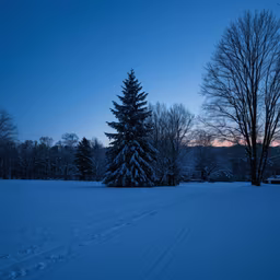 Winter's Embrace Winter's Embrace