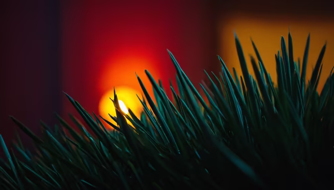 Evening Glow