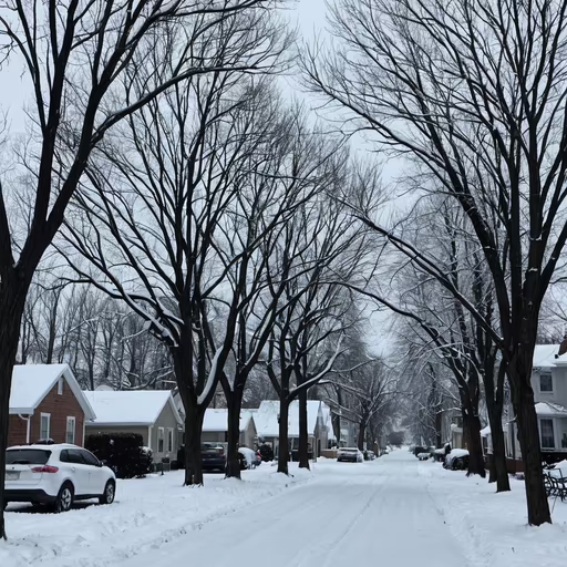 Winter Wonderland