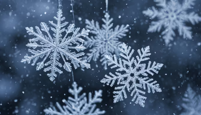 Winter's Touch