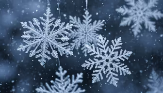 Winter's Touch Winter's Touch