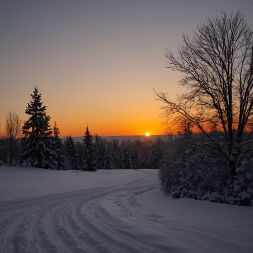 Winter's Embrace