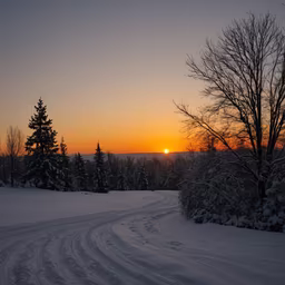 Winter's Embrace