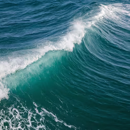 Ocean's Embrace Ocean's Embrace