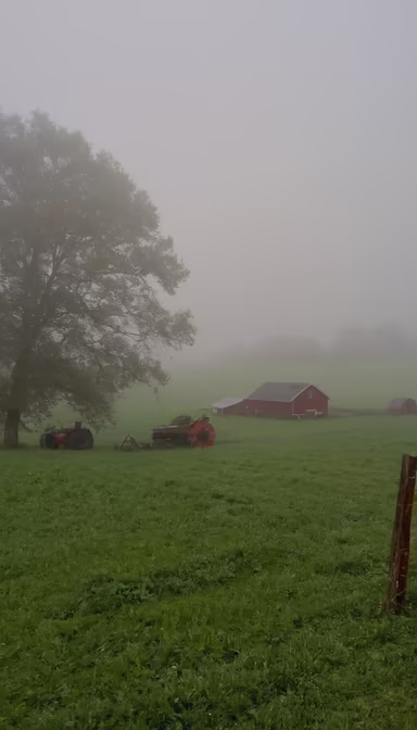 Misty Morning on the Farm Misty Morning on the Farm