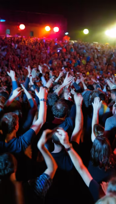 Concert Crowd Concert Crowd