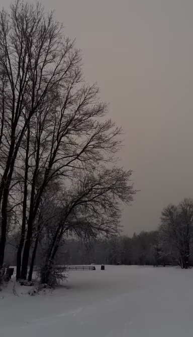 Winter Silence Winter Silence