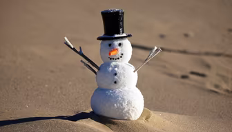 Desert Snowman Desert Snowman