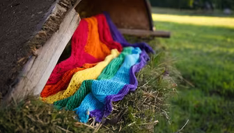 Rainbow Dreams Rainbow Dreams