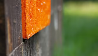 Orange Block