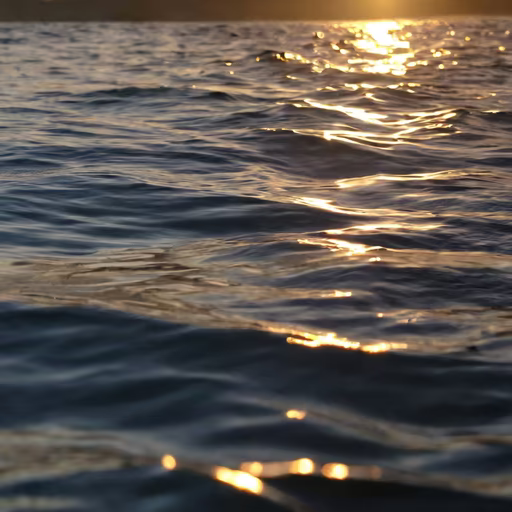 Golden Hour Waves