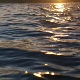 Golden Hour Waves Golden Hour Waves