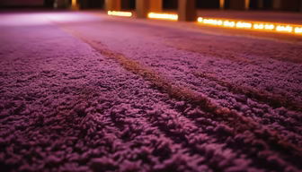 Purple Haze Purple Haze