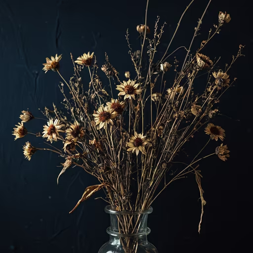 Dried Beauty