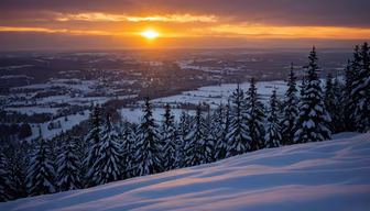 Winter's Golden Embrace Winter's Golden Embrace