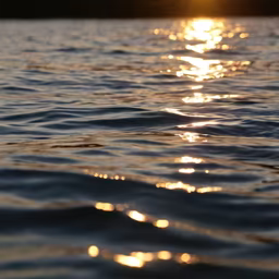 Golden Hour on the Water